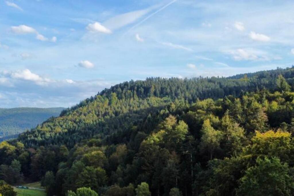 Wohnen Im Schwarzwald Mit Panoramablick Διαμέρισμα Bad Herrenalb Εξωτερικό φωτογραφία